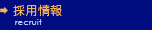 �̗p���