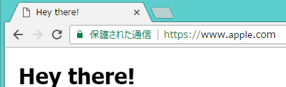 正規のドメインに見える偽サイトにご注意ください。