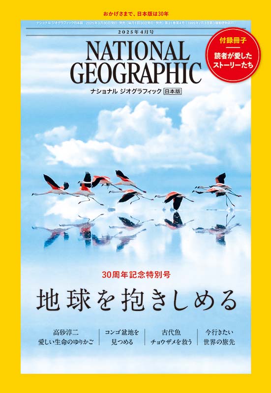ナショナル ジオグラフィック日本版