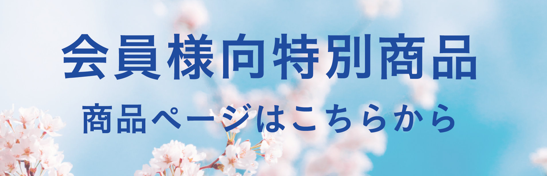 商品ページはこちらから