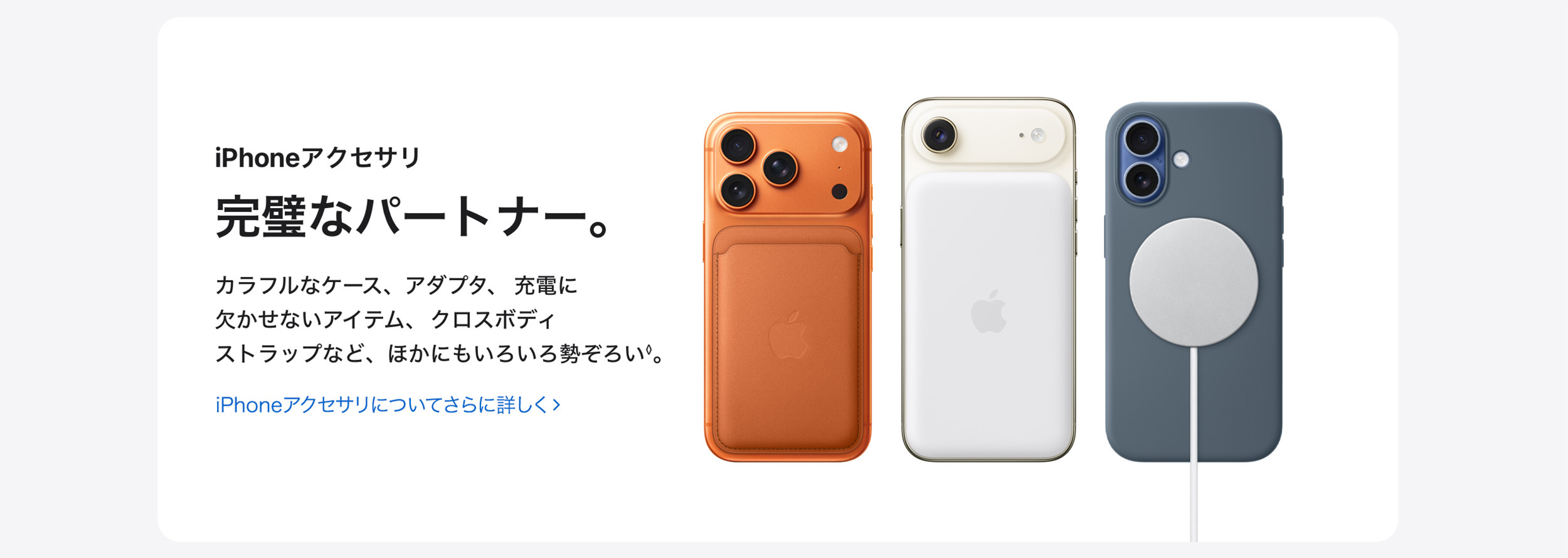 さらなる魅力を。