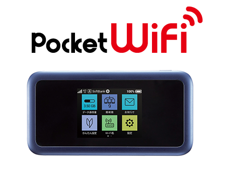 Pocket WiFi 801HW